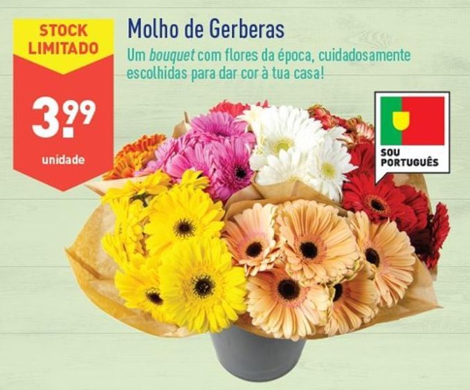 Oferta de Plantas com flores por 3,99€
