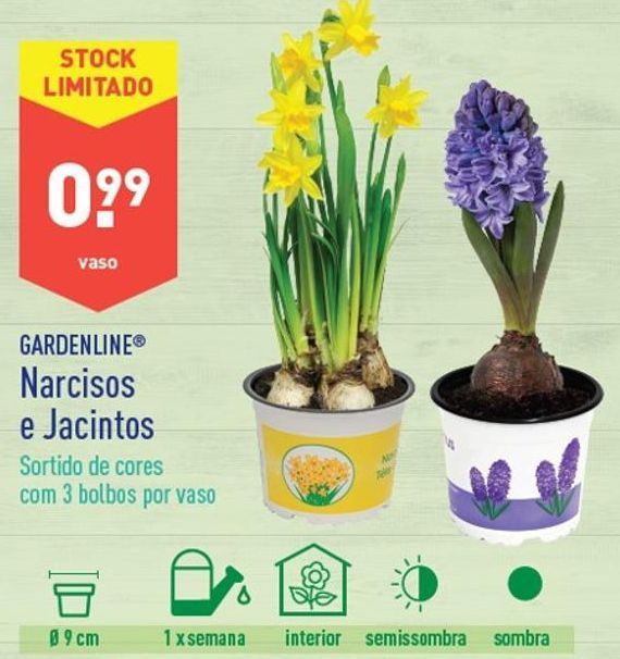 Oferta de Plantas com flores por 0,99€