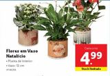 Oferta de Flores por 4,99€ em Lidl