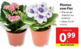 Oferta de Plantas com flores por 0,99€ em Lidl